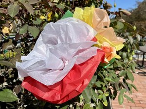 MakerSpace: Tissue Flowers