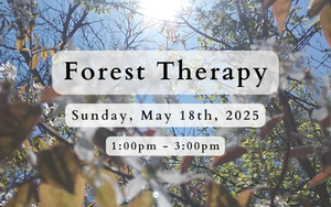 Forest Therapy