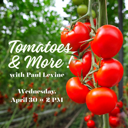Tomatoes and More! with Paul Levine