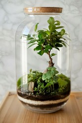 Handcrafted History: Container Gardens