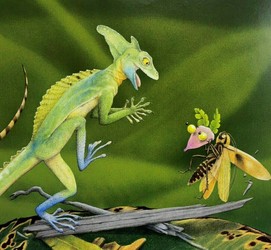 Nature Book and Look