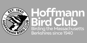 Birding at Hand Hollow Conservation Area and Ooms Pond, East Chatham, NY | Hoffmann Bird Club