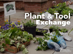 Plant & Tool Exchange
