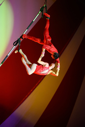 Venardos Circus presents "Decade of Dreams"