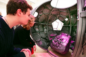 Curatorial Tour of Seeds