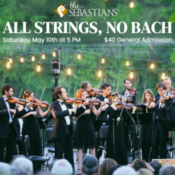 The Sebastians: All Strings, No Bach