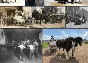 Vehicle Deep Dive: Hand/Horse-Drawn Vehicles