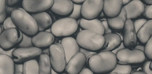 Sunday Supper at L'Ostrica: Spanish Night