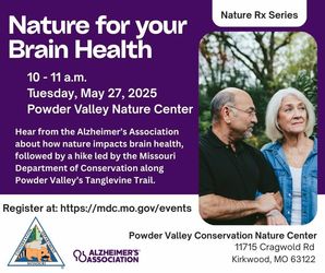 Nature Rx: Nature for Brain Health