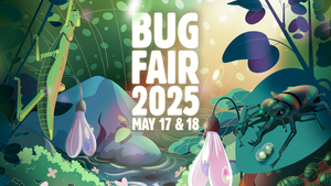 Bug Fair 2025