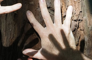 A Dawn and Two Dusks