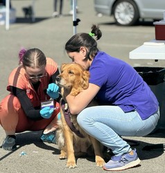 Joybound People & Pets Free Pet Vaccine and Microchip Clinic