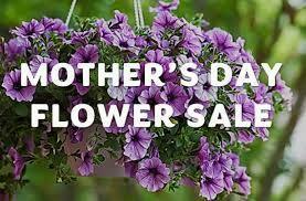 Mother's Day Flower Sale
