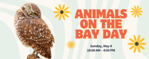 Animals on the Bay Day - with $5 Admissions to the Living Coast Discovery Center