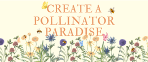 Create a Pollinator Paradise