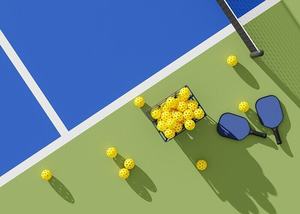 PICKLEBALL TOURNAMENT