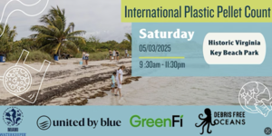 Microplastics Beach Clean-Up