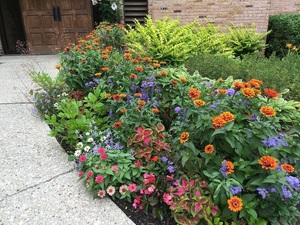Low-Maintenance Gardening with Melinda Myers