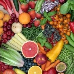 Plant Based Dinner Cooking Class for Ages 16+