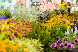 Evening Preview Sale at Spring Garden Market