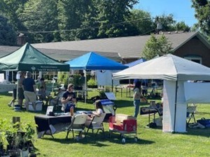 Summer Festival, An Earth Care Celebration