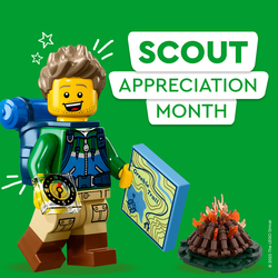 Scout Appreciation Month