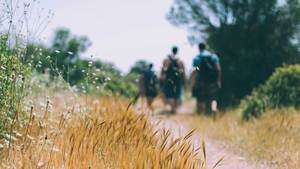 Veterans Community Hike