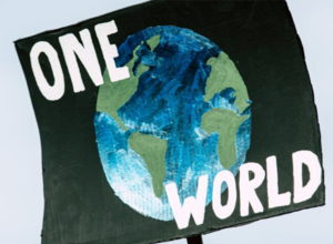 Sustainability, Community, and the Arts of Chicago - Curated by the students of the School of the Ar