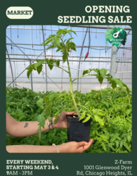 Z-Farm Seedling Sale