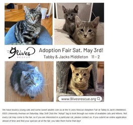 Cat and Kitten Adoption Fair