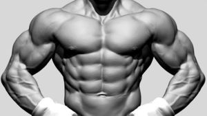 Best Sarms For Muscle Growth Tried Muscle Building Routine Result