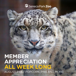 Member Appreciation Week 2025