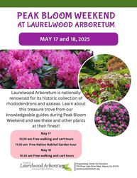 Peak Bloom Weekend