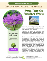 Small Trees for Your Home Garden