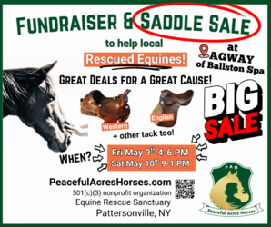 PAH Fundraiser and Saddle Sale