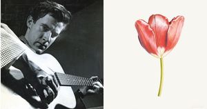 Celebrating Rory McEwen featuring Skerryvore, Iona Fyfe, John Ballantyne's Crazyheart and more