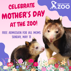 Mother's Day FREE Zoo Admission