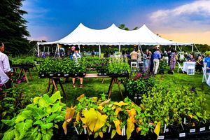 GARDEN DAYS: Plant Sale Preview Party!