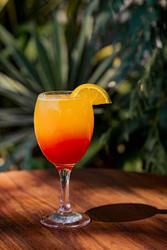 Taste of the Tropics with Flora and Steel Drums