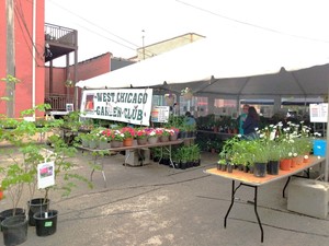 West Chicago Garden Club Plant Sale