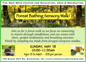 Forest Bathing Sensory Walk & Foraged Tea at The New Weis Center