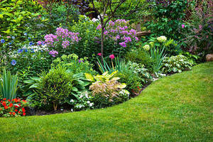 "Shrubs Through the Season" - Rockaway Valley Garden Club (RVGC) May 13,  2025 Program