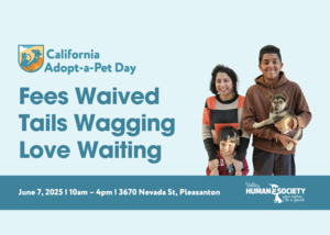 California Adopt-a-Pet Day at Valley Humane Society in Pleasanton