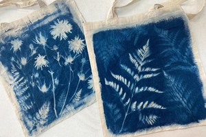 Sun Printing Workshop | Buffalo and Erie County Botanical Gardens