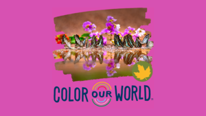 Butterfly Colors with Summit Metro Parks