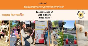 Napa Humane Community Mixer - June 2025