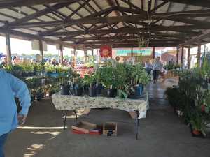Plant Sale - Mississippi Valley Garden Club