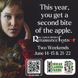 NY Capital District Renaissance Festival