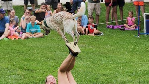 Performance Dogs of Ohio (Outside)