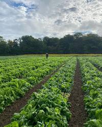 Farm Tour at Roots to River Farm